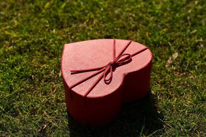Red heart-shaped gift box with a ribbon sits on a blurred green lawn under soft sunlight with gentle shadows.