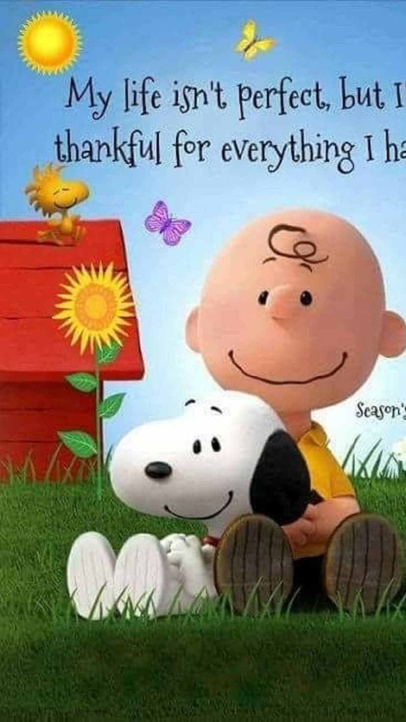 Charlie Brown and Snoopy sit beside a sunflower while butterflies fly near a quote about being thankful for life.