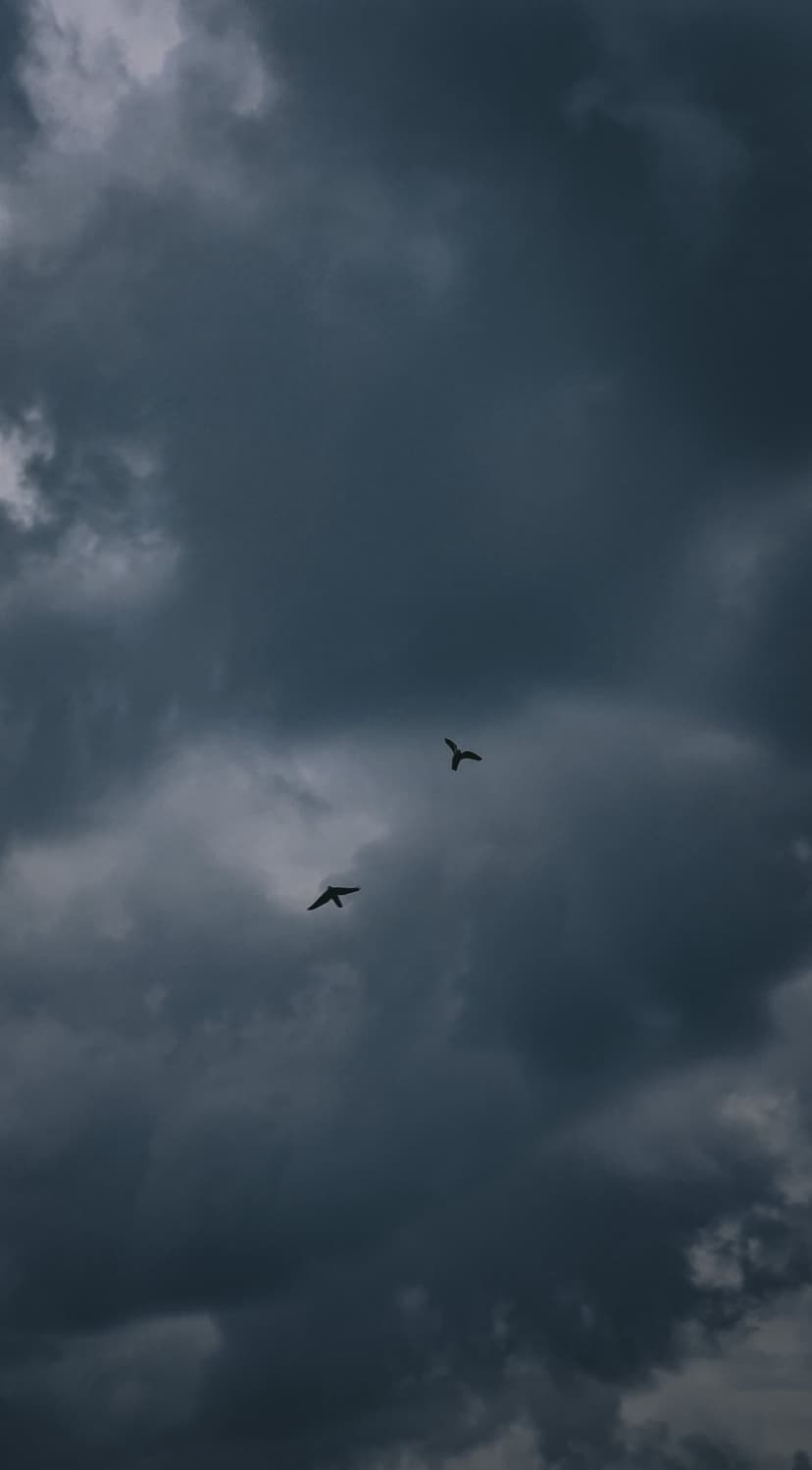 Two silhouetted birds fly against a backdrop of dark, swirling storm clouds in a moody vertical sky composition.