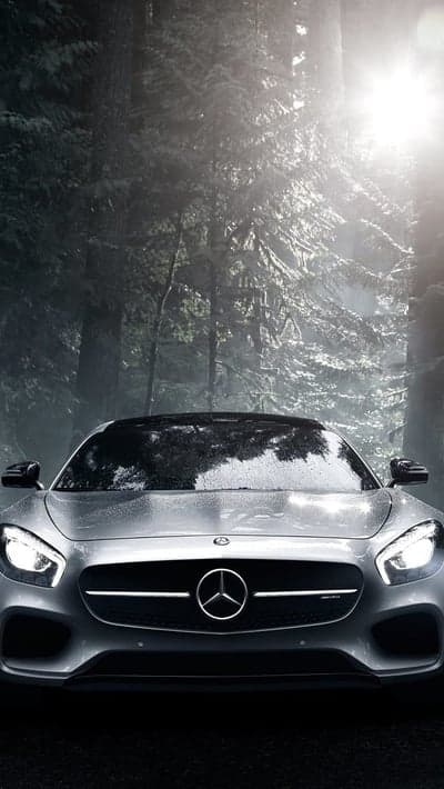 Silver Mercedes-Benz AMG GT Foggy Forest Phone Background