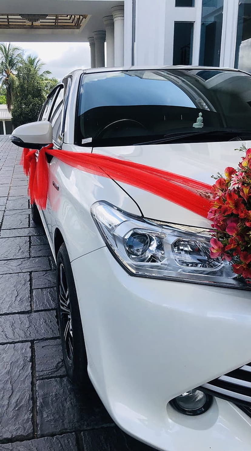 White car decorated with a red ribbon and flower bouquet on a stone driveway near palm trees in daylight.