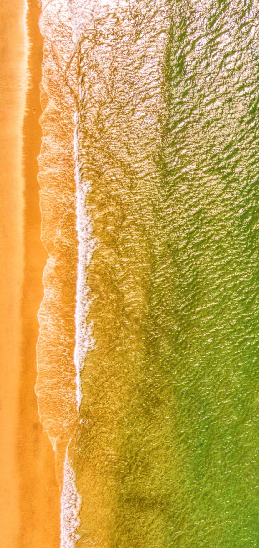 Emerald ocean waves meeting golden sands with white sea foam in a vertical aerial view of a tropical coastline.