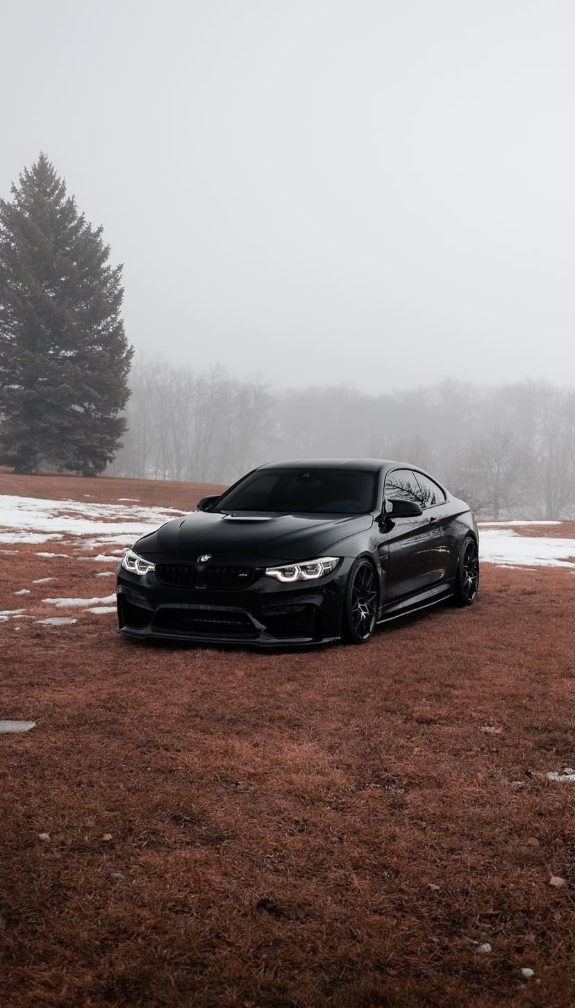 Black BMW M4 coupe parked on snow-dusted grass with a large pine tree and foggy winter woods in the background.