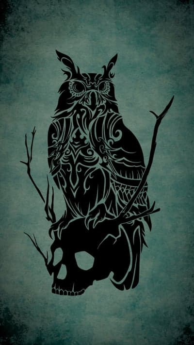Tribal Owl Silhouette on Skull and Branches