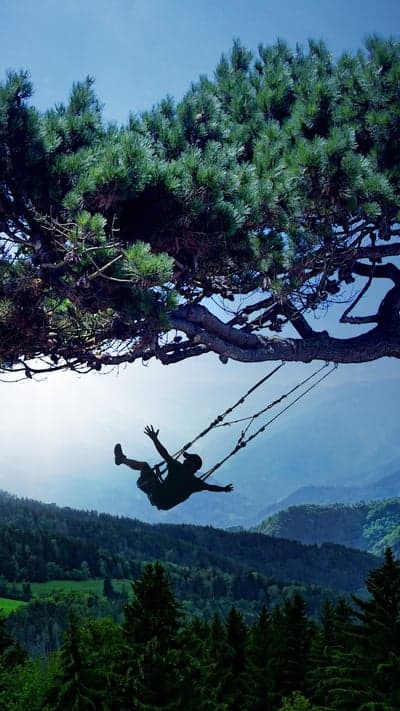 Urban Vantage - Contemplating the City from Above