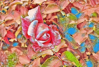 Stylized Floral Bloom in Pink and Blue Mobile Background