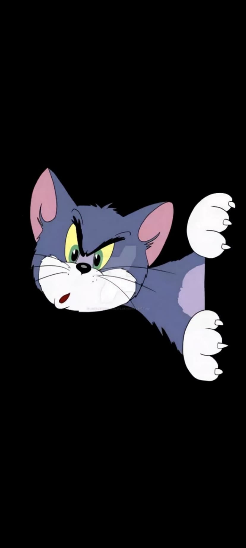 Tom Cat with blue fur and yellow eyes peeks from the side of a black background with a grumpy facial expression.