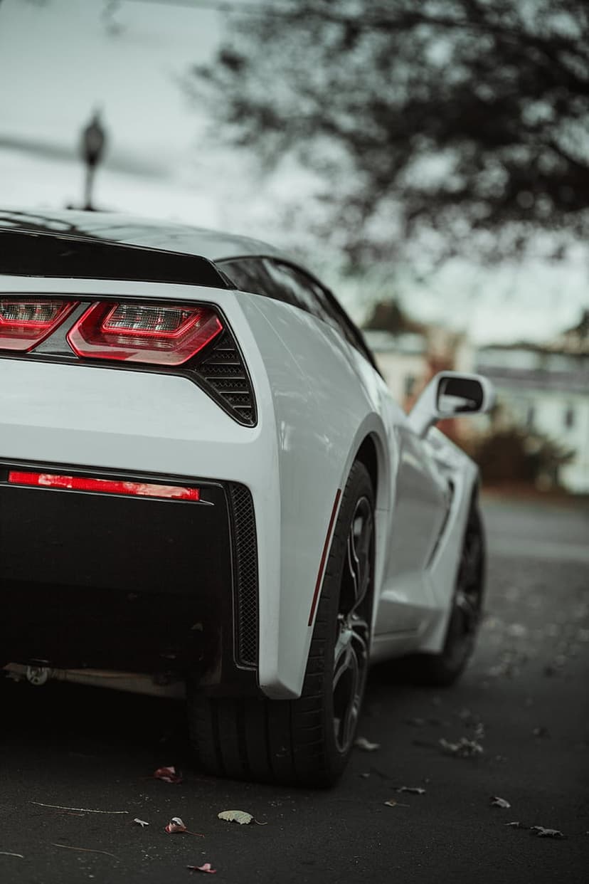 White Chevrolet Corvette C7 rear taillights on dark asphalt with fallen leaves in a low-angle close-up.