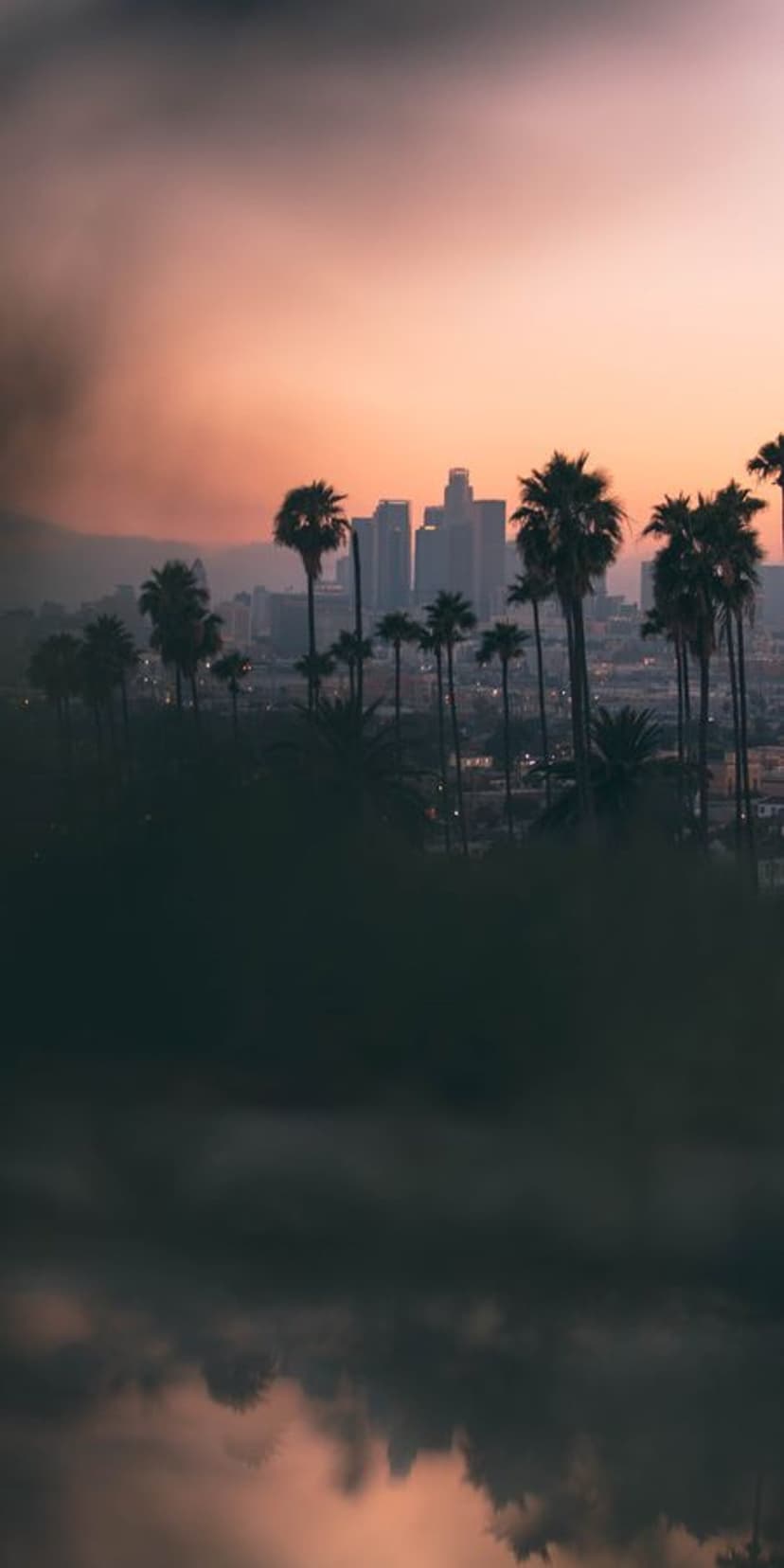 Silhouetted palm trees frame the Los Angeles city skyline under a warm orange and peach gradient sky at sunset.