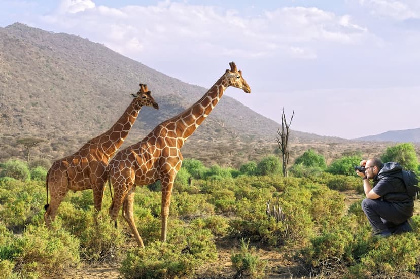 Two giraffes stand in a green savanna while a photographer captures the scene under a bright sky at a distance.