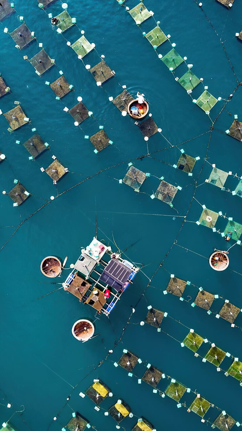Floating square and circular aquaculture pens in turquoise water with small boats viewed from a top-down aerial drone.
