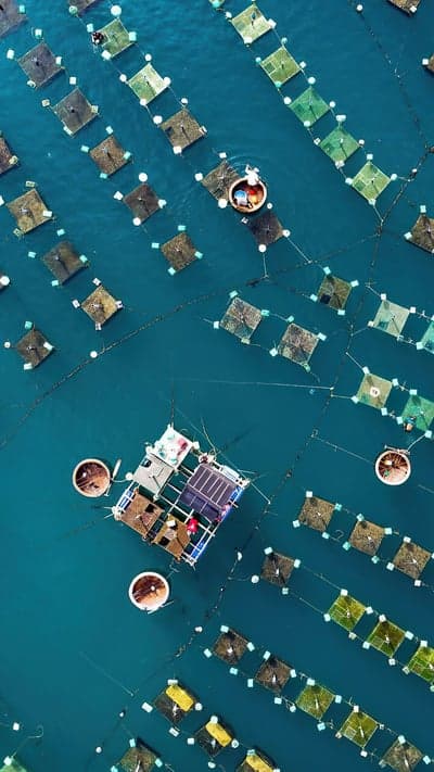 Aqua Farming - An Aerial Perspective