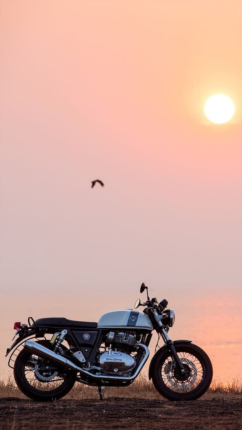 Classic motorcycle on a rocky cliff overlooking the sea under a pastel sunset sky with a silhouetted bird.