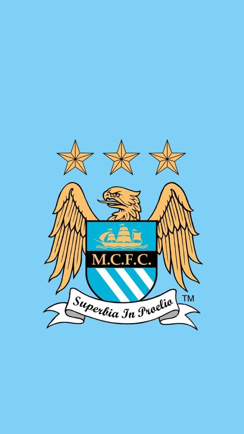 Manchester City crest featuring a golden eagle and three stars centered on a minimalist sky blue background.