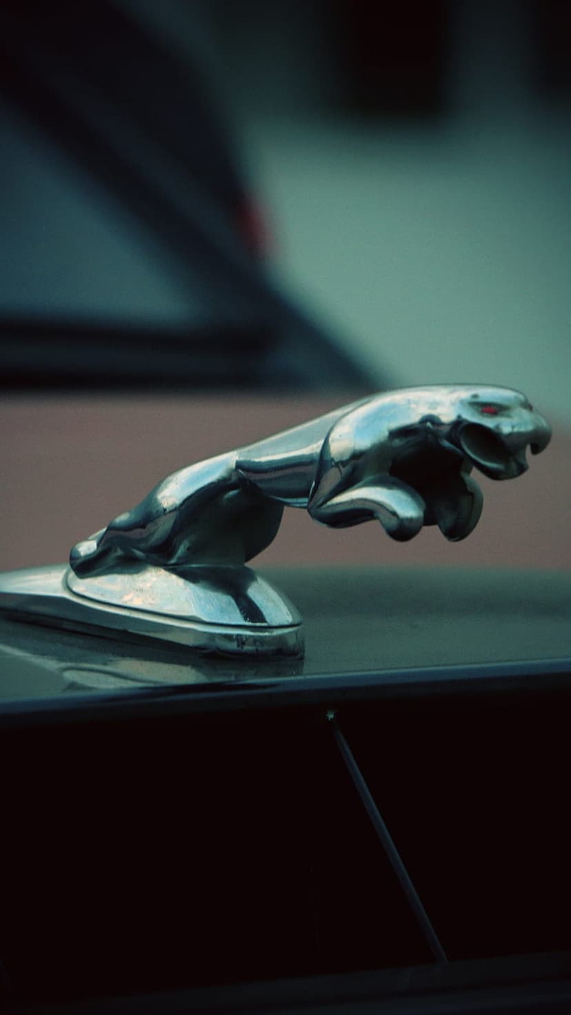 Silver jaguar leaper ornament with a red eye on a dark reflective car hood under moody studio lighting.
