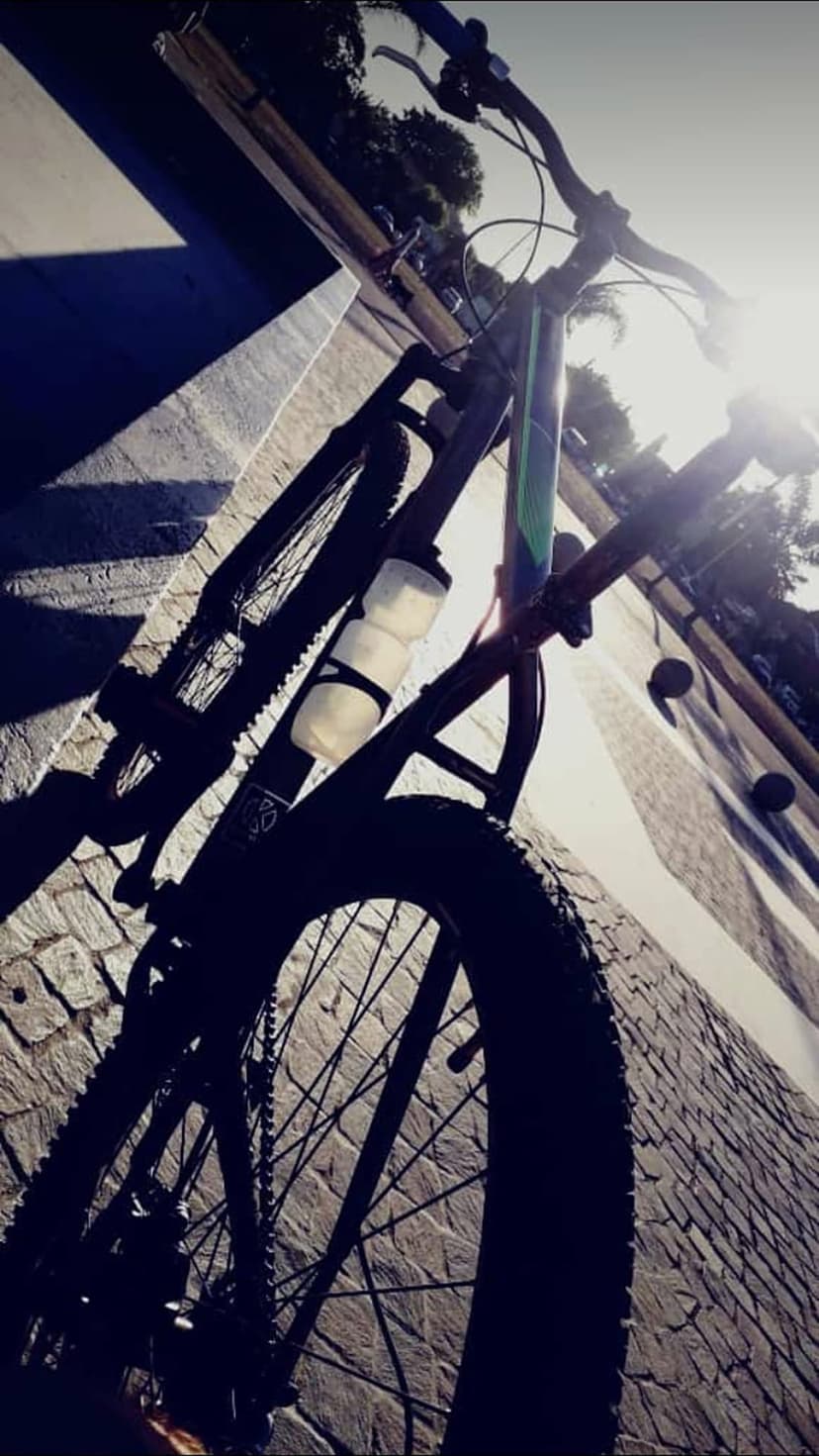 Bicycle frame on sunlit cobblestones with dramatic shadows emphasizing the texture of the urban street surface.