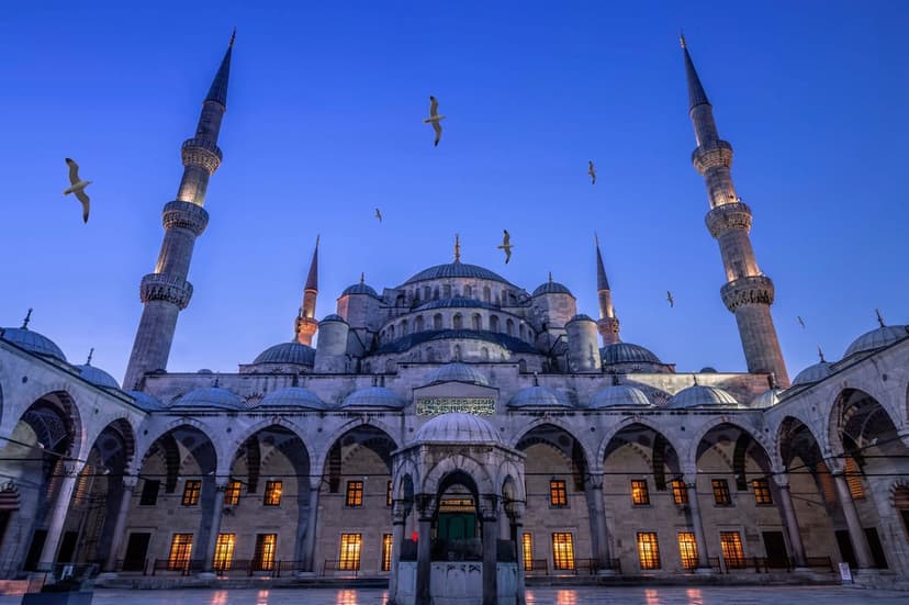 Blue Mosque in Istanbul glows at dusk with tall minarets under a deep sky as seagulls fly in the foreground.