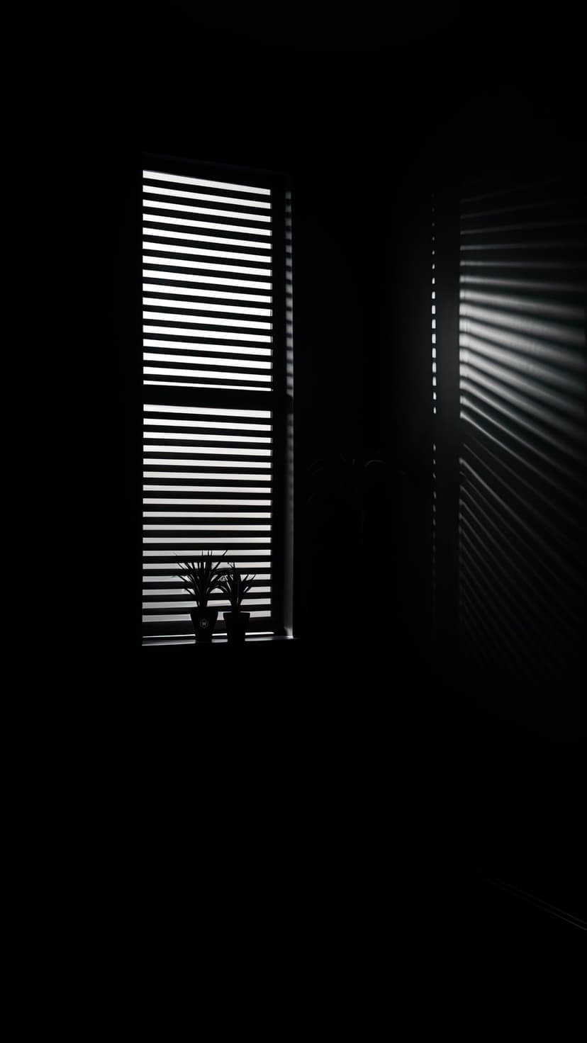 Horizontal sunlight stripes from window blinds cast across silhouetted potted plants in a dark room setting.