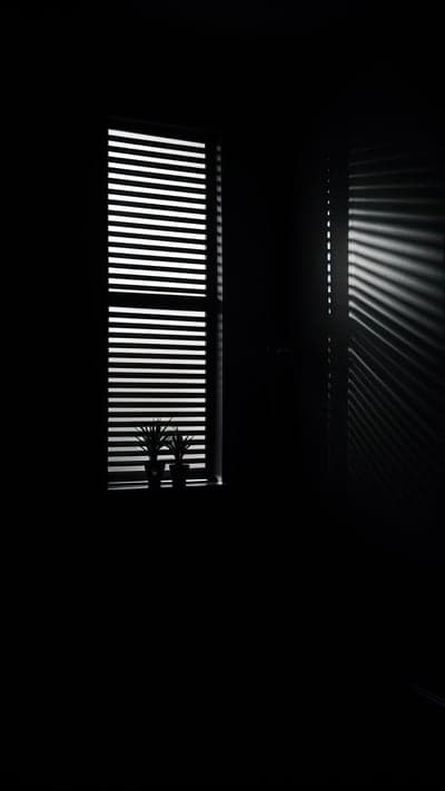 Striped light through blinds on dark room with plants
