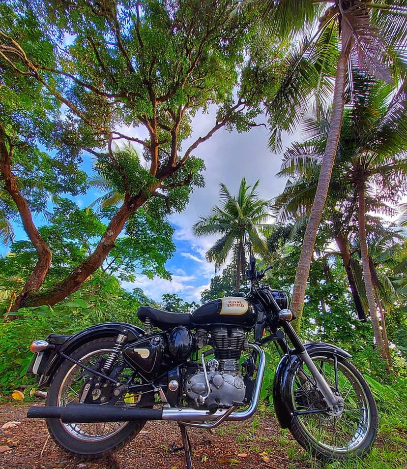 Black Royal Enfield motorcycle on a dirt path surrounded by towering palm trees and lush green tropical foliage.