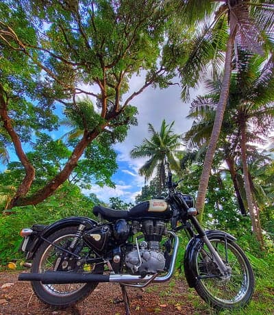 Vintage Royal Enfield motorcycle amidst lush tropical greenery