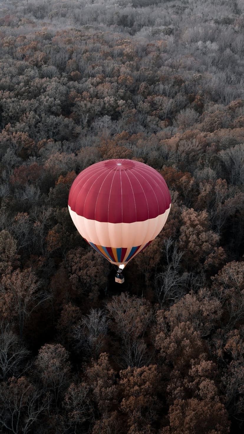 Red and white hot air balloon soaring over a dense forest of brown and reddish autumn trees under a clear sky.