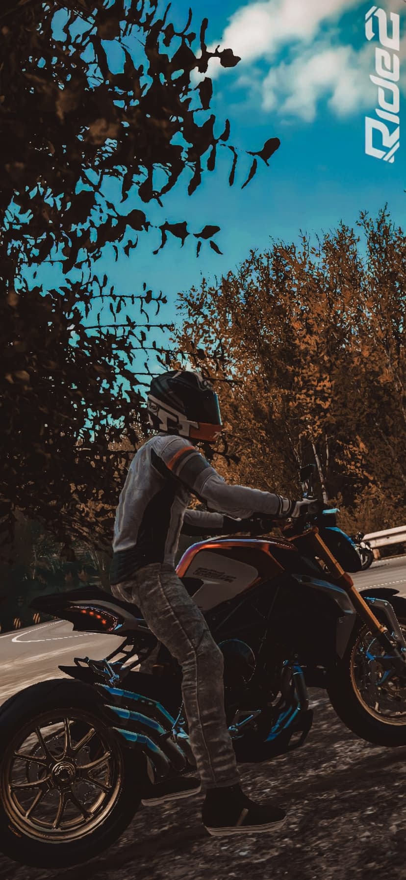 Motorcyclist in full gear riding a sportbike on a curved road lined with green trees under a bright blue sky.