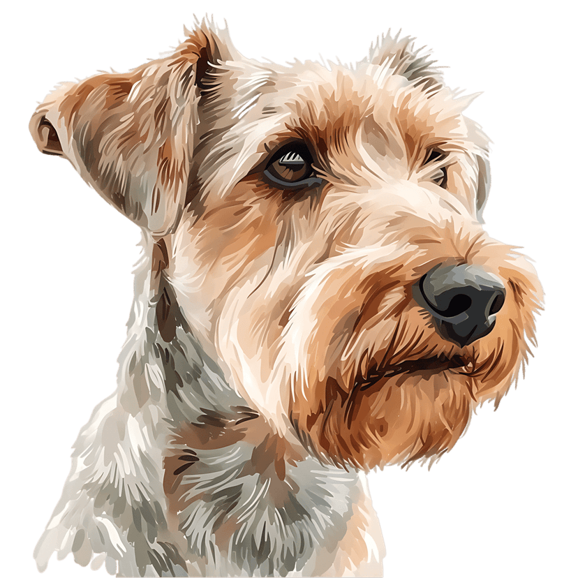 Wire fox terrier watercolor art featuring tan and white wiry fur against a solid black background.