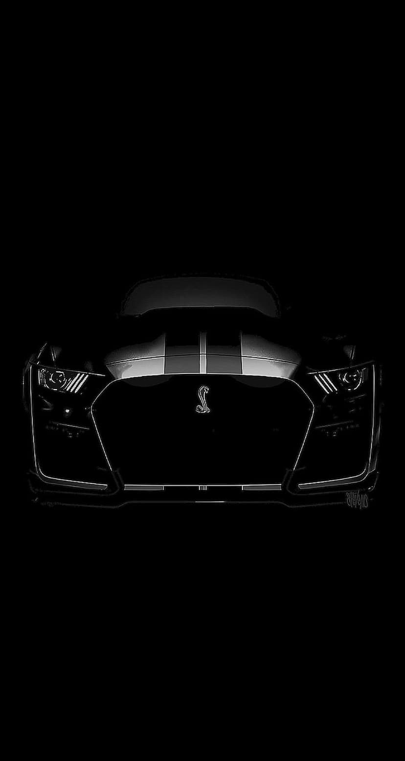 Shelby GT500 front grille with a cobra emblem and racing stripes in high-contrast black and white lighting.