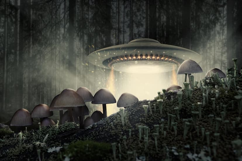 Flying saucer hovering over glowing purple mushrooms in a dark forest with a bright white tractor beam landing.