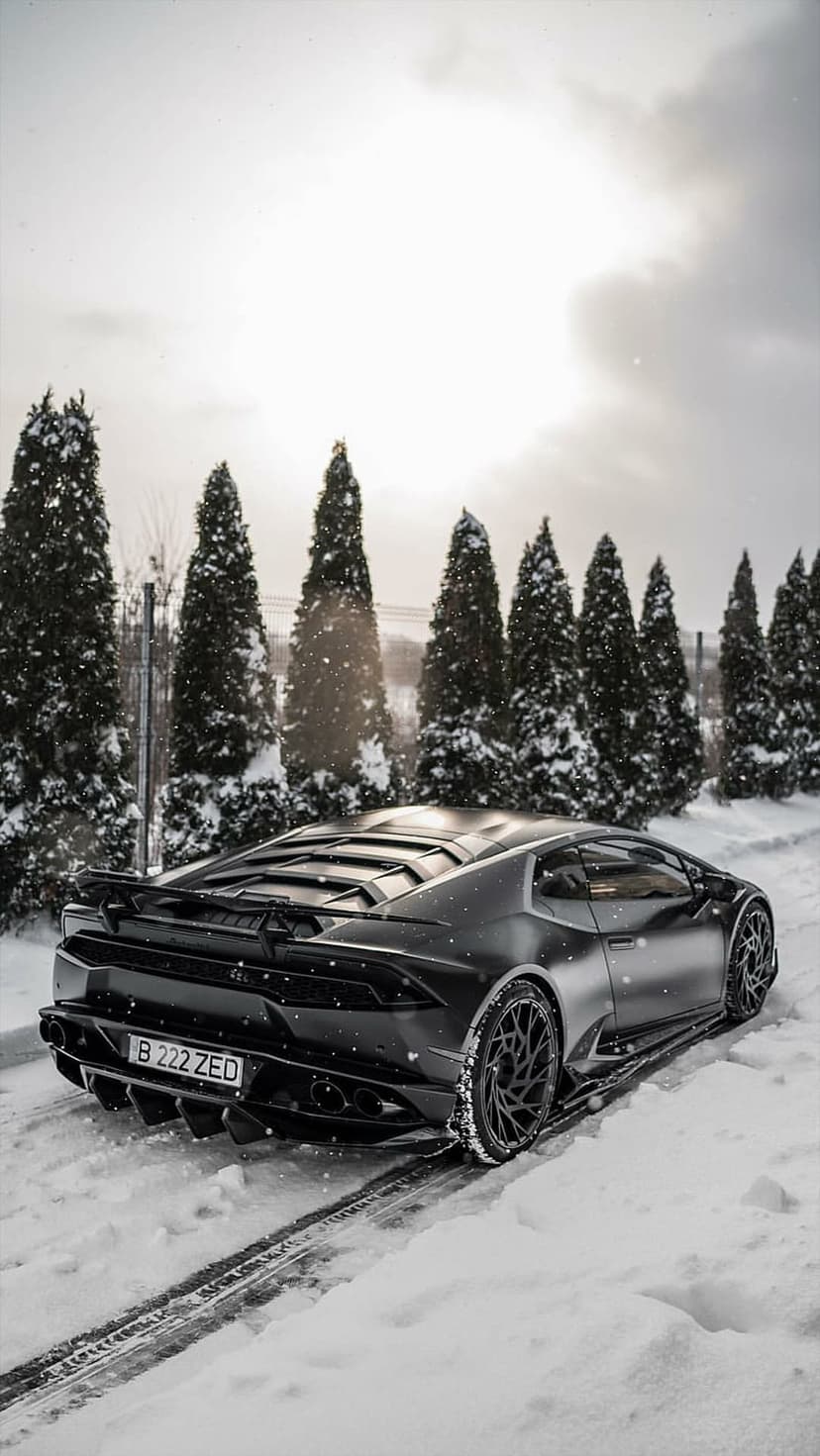 Black Lamborghini supercar on a snow-covered mountain road surrounded by frosted evergreen pine trees.