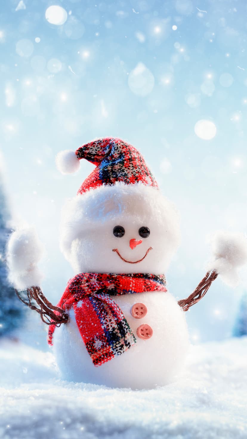 Snowman with a carrot nose and plaid scarf stands in a snowy field with falling flakes under a soft winter sky.