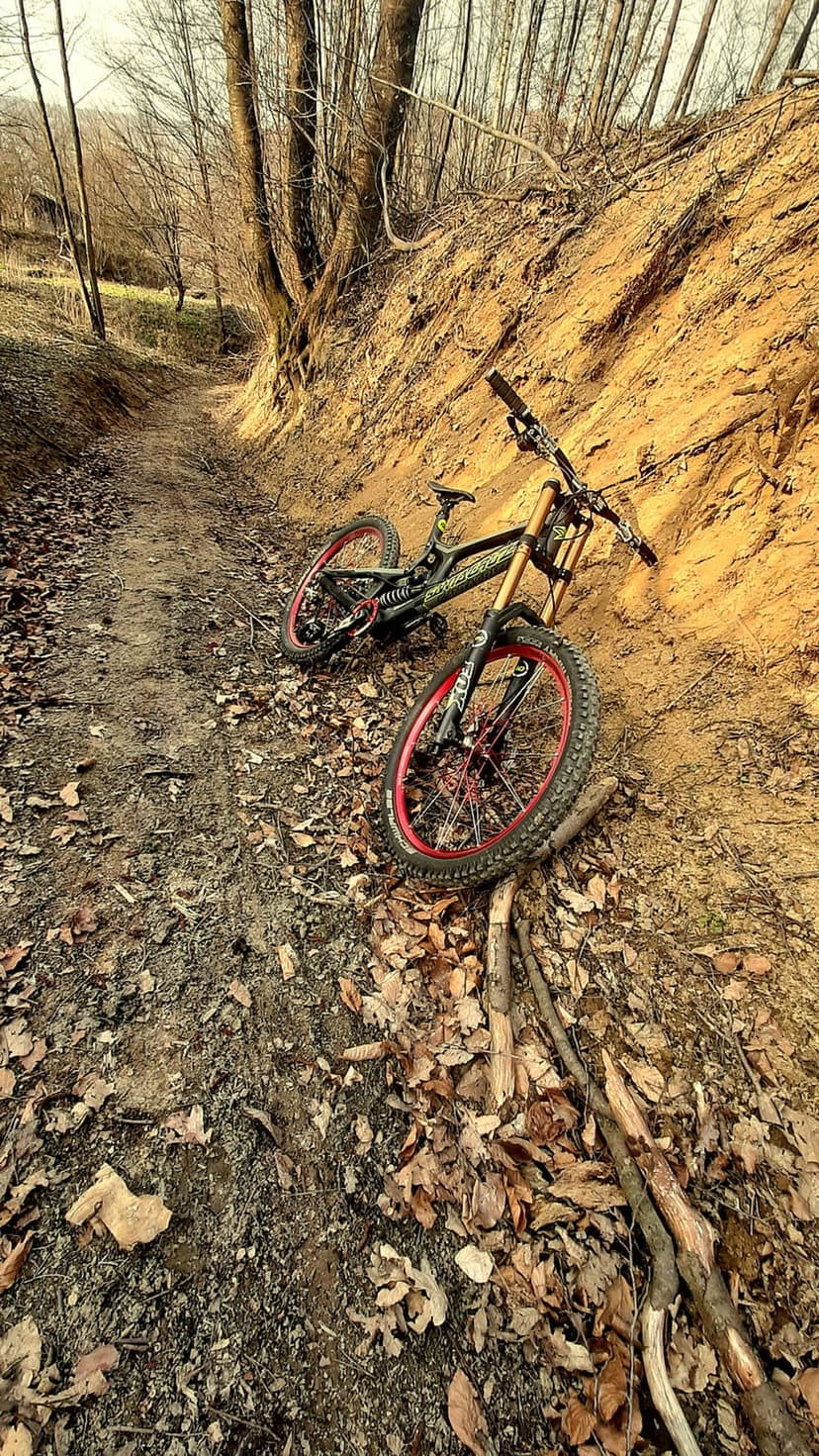 Downhill mountain bike with red wheels on a sandy trail surrounded by fallen autumn leaves and bare trees.