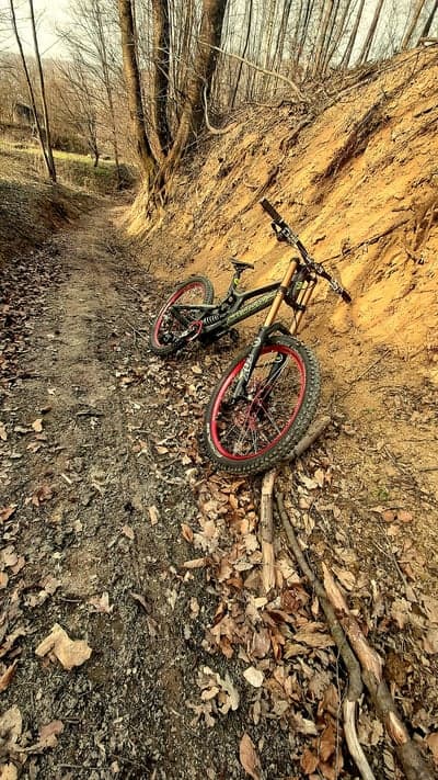 Red Rim Downhill MTB Autumn Forest Trail Mobile Wallpaper