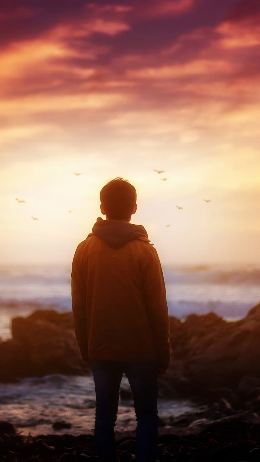 Lone person stands on jagged rocks against a vibrant sunset over the ocean as birds fly in the distance.