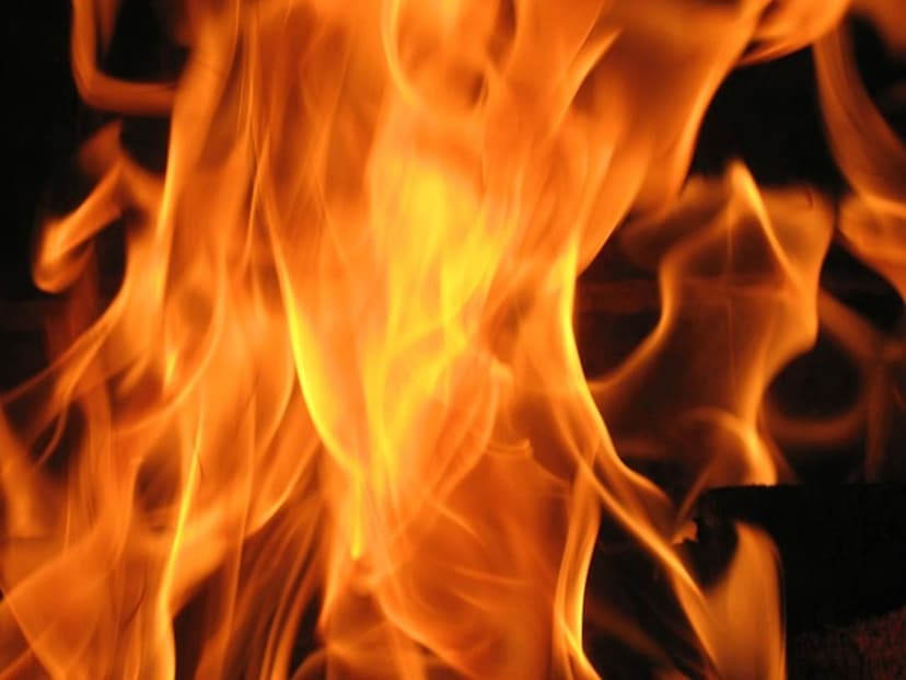 Bright orange and yellow flames flicker and dance against a solid black background with sharp macro details.