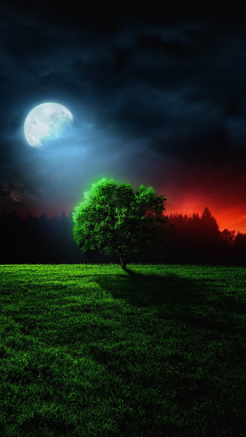 Lone green tree in a meadow under a sky split between a glowing moon and a red sunset with forest silhouettes.