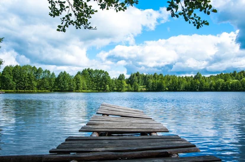Weathered wooden pier leading into a calm blue lake surrounded by a dense green forest under a white cloudy sky.