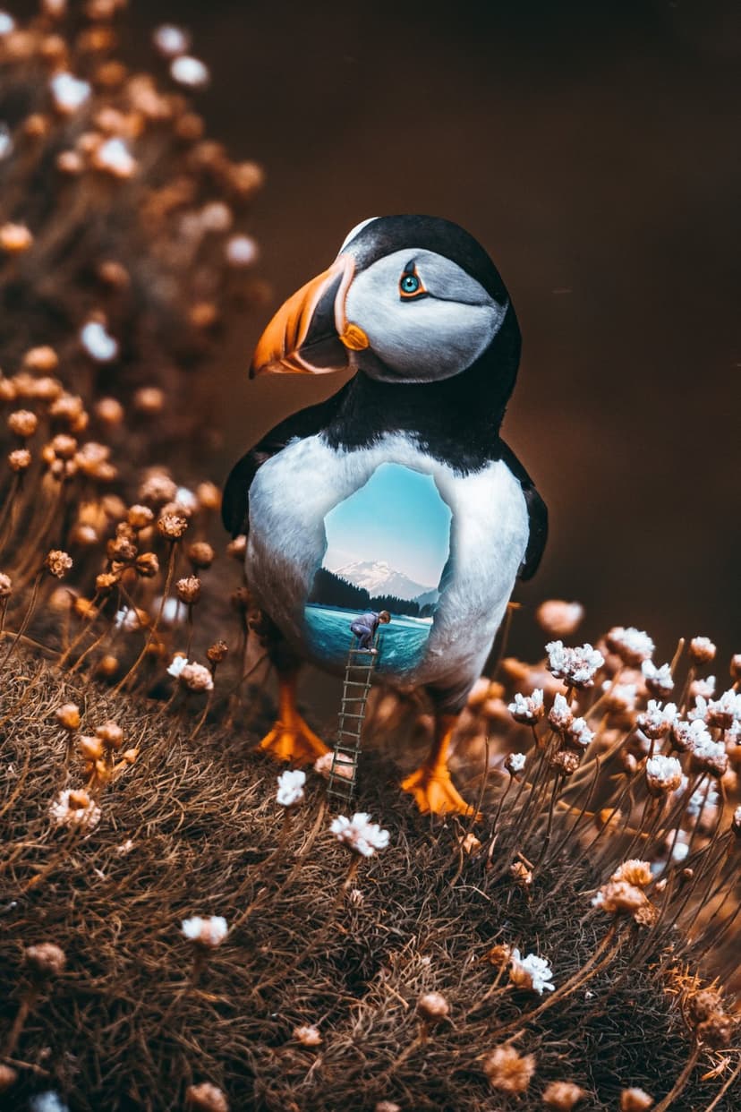 Puffin standing in grass with a mountain lake landscape and a tiny boat visible inside its chest cavity.