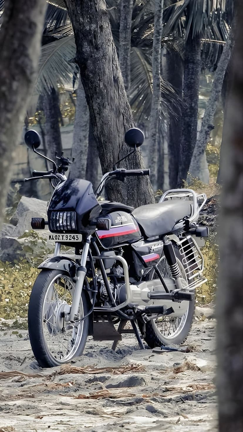 Black Hero Splendor motorcycle parked on sand among tall trees and dense green foliage in a tropical forest.