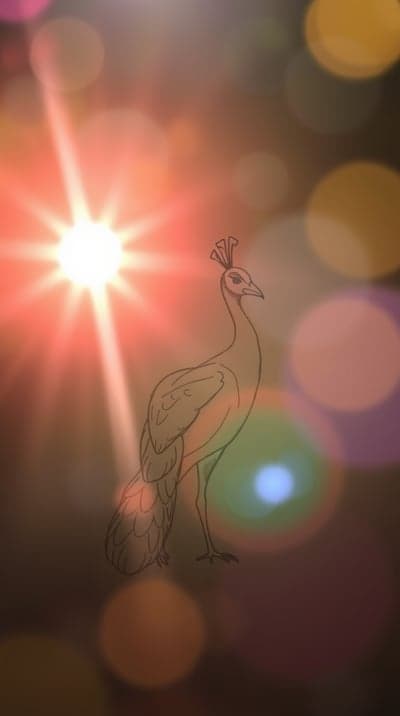 Glowing Peacock Sketch Mobile Wallpaper with Bokeh Lights