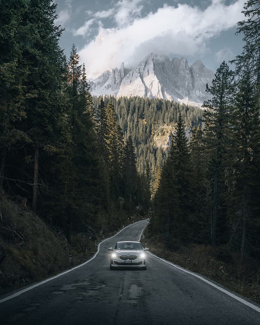 White car travels along a curving asphalt road surrounded by evergreen trees and distant snowy mountain peaks.