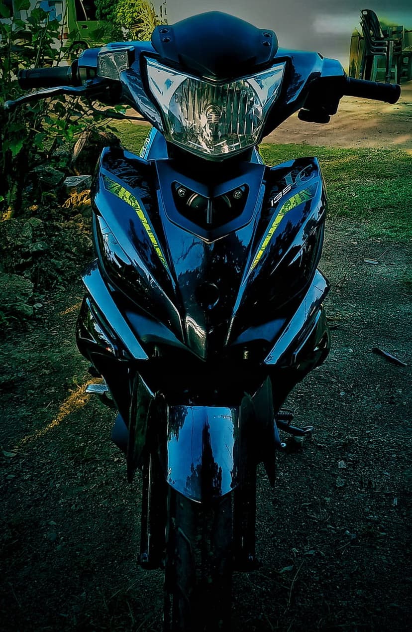 Black motorcycle front fairing with neon green accents parked on gravel with leafy green plants in the background.