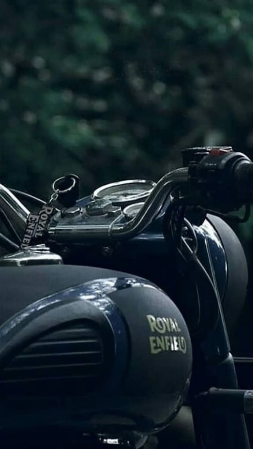 Royal Enfield fuel tank with silver logo and handlebars positioned against a blurred dark green forest background.