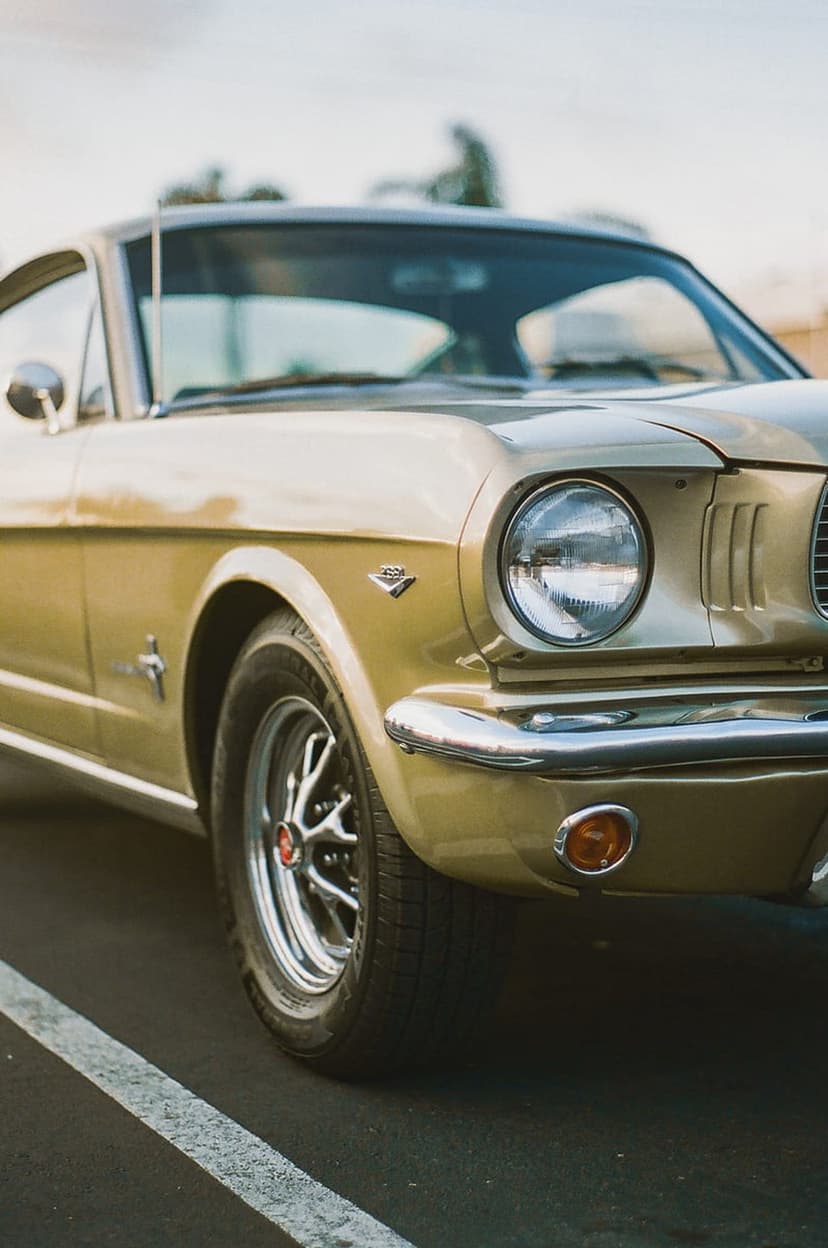 Gold vintage Ford Mustang front fender featuring a chrome bumper, classic round headlight, and side horse emblem.