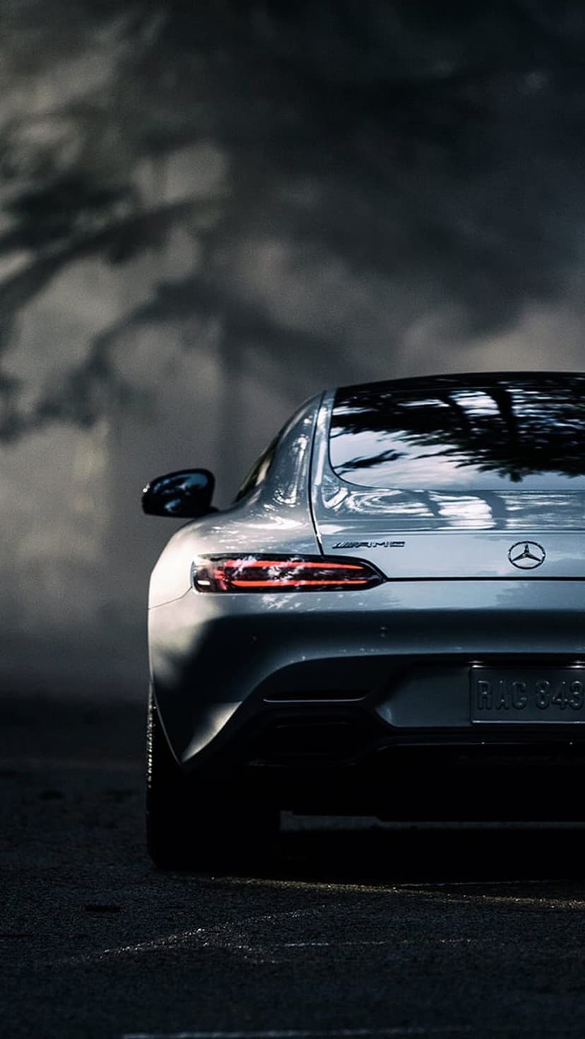 Mercedes-AMG GT Coupe rear view shows silver metallic paint, red LED taillights, and tree shadows at dusk.