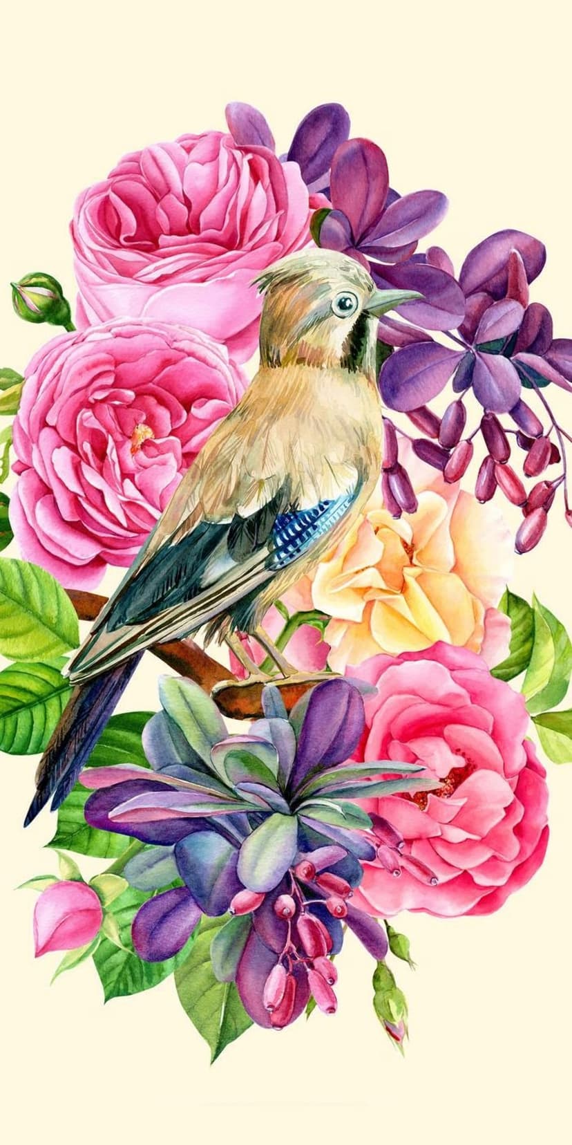 Blue jay perched on a branch surrounded by pink and yellow roses with deep purple leaves in the background.