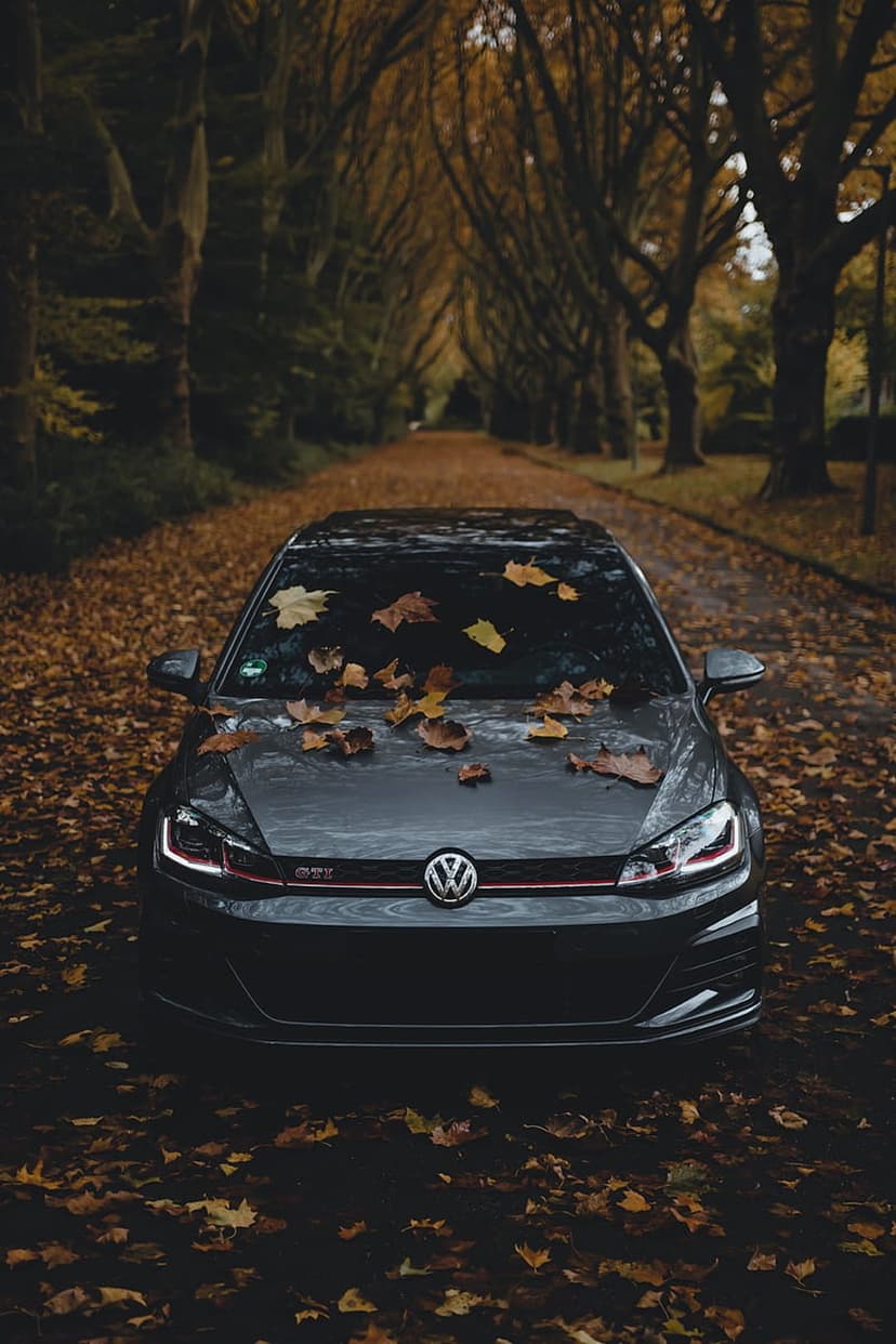 Dark Volkswagen GTI with orange autumn leaves on its hood parked on a misty tree-lined road in fall.