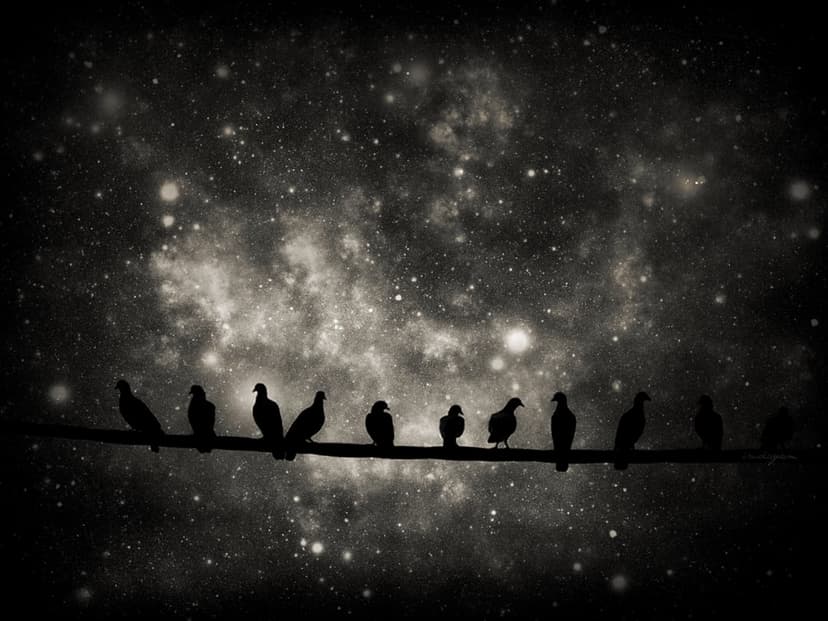 Pigeons perched on a wire form dark silhouettes against a grainy, purple-toned starry night sky and nebula.