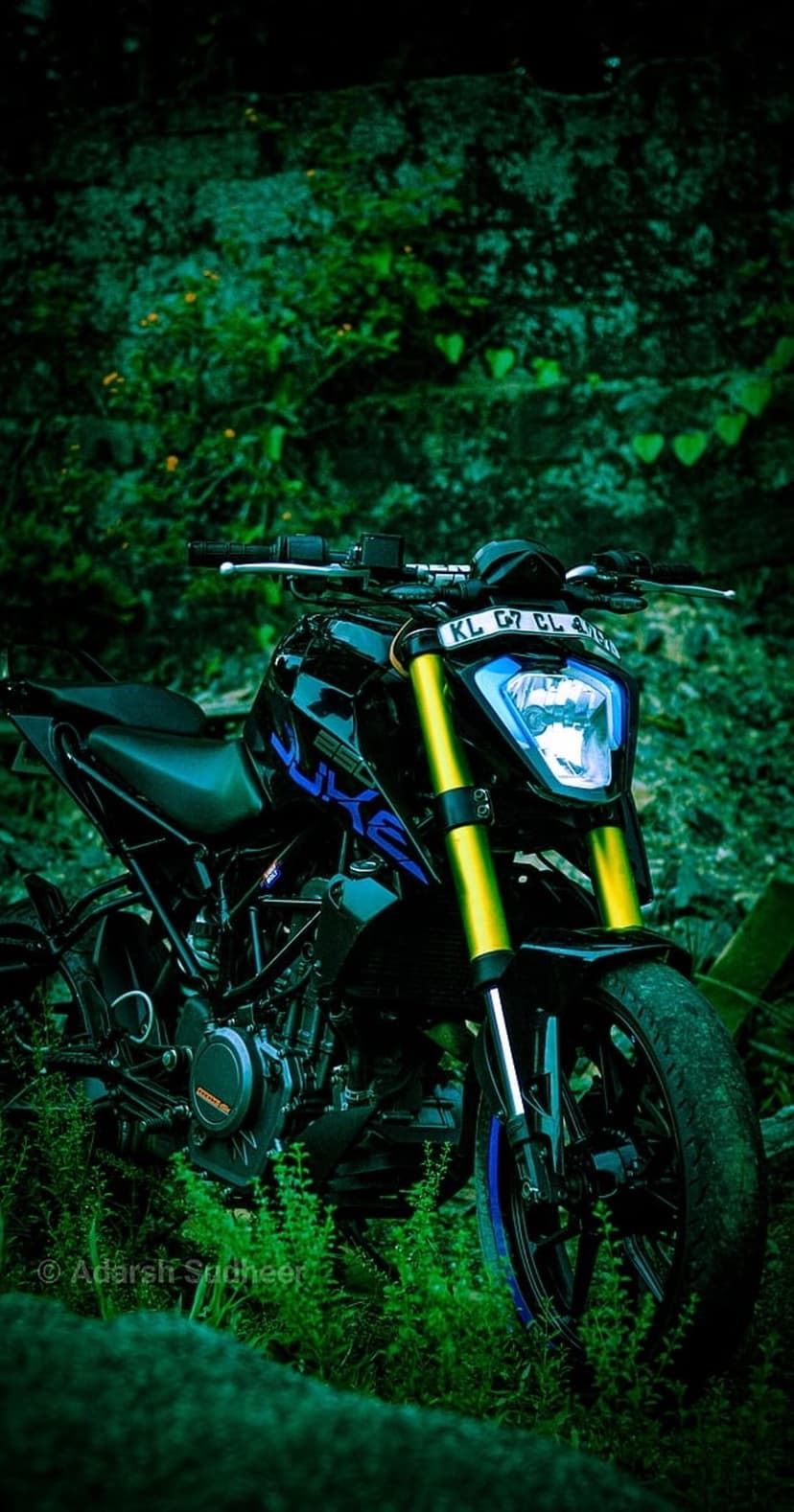Black KTM Duke motorcycle with yellow forks parked among dense green leaves and rocks in moody, dim lighting.
